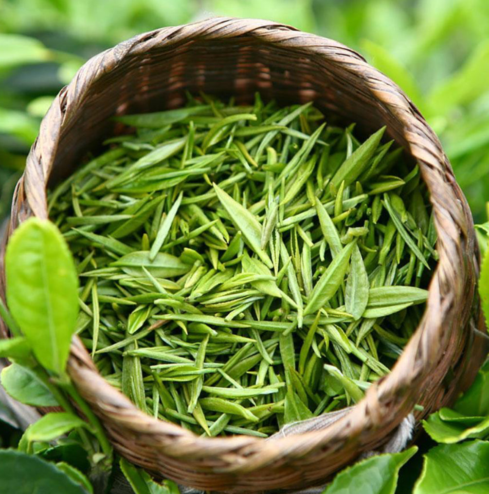绿茶